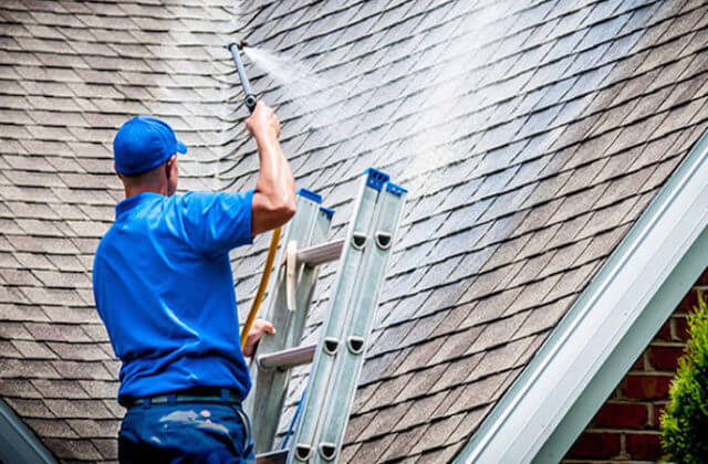 naperville roof cleaning